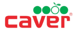 logo exagal
